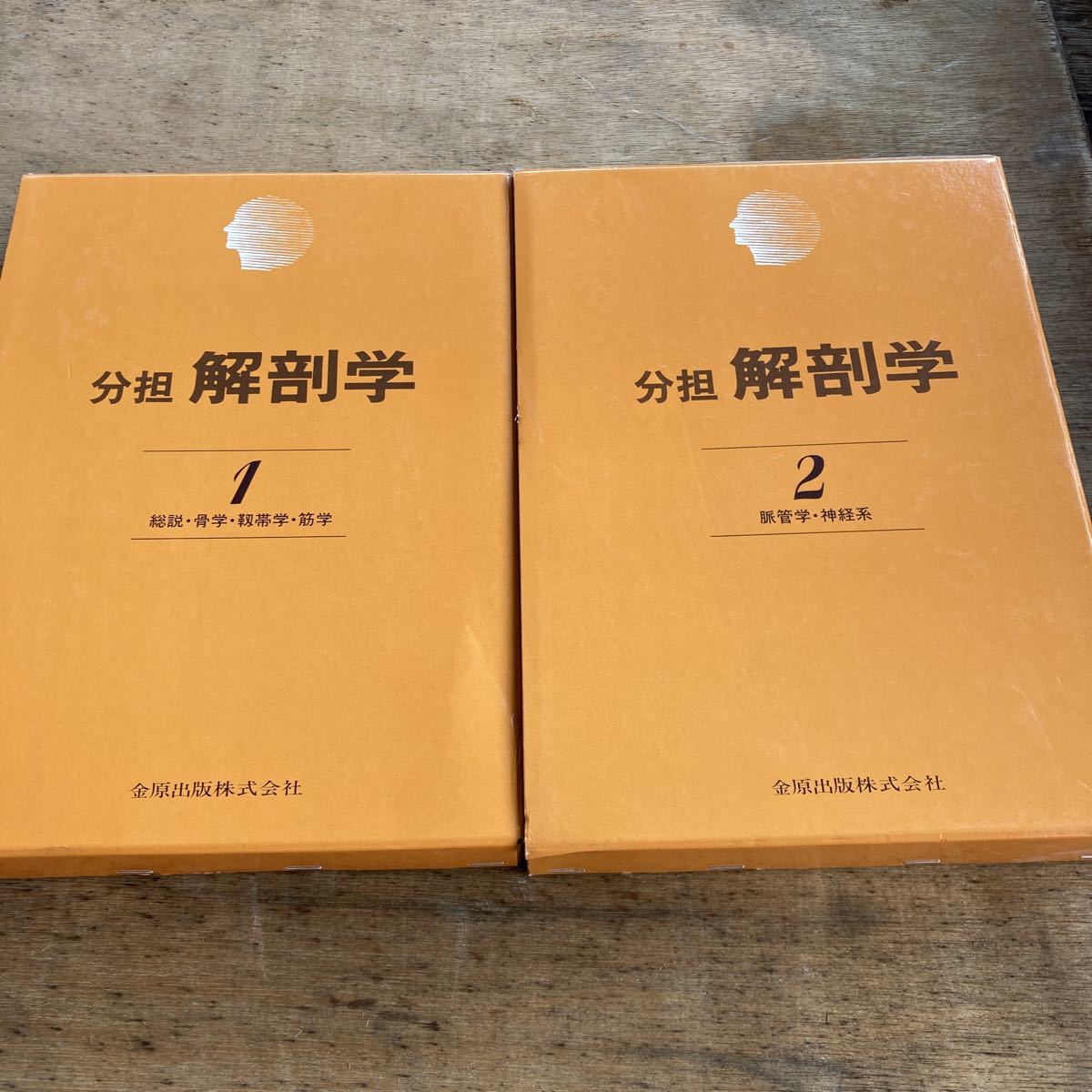 解剖学分担１ 、2小川鼎三他－日本代購代Bid第一推介「Funbid」