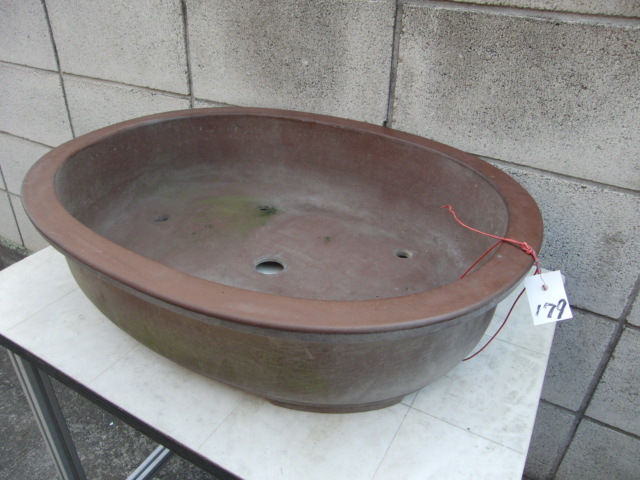 ♯179 和鉢 盆器 盆栽 植木 松柏 皐月 真柏 楓の画像1