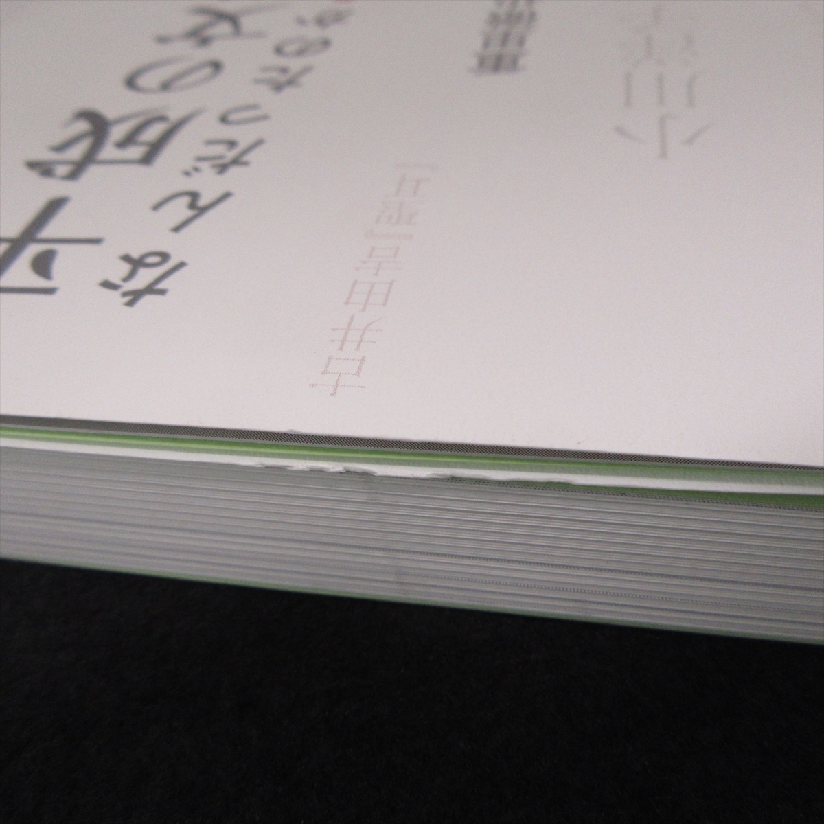 初版本『平成の文学とはなんだったのか 激流と無情を越えて』■送料無料 重里徹也 助川幸逸郎 はるかぜ書房/村上春樹 高村薫 綿矢りさ 他□_画像5