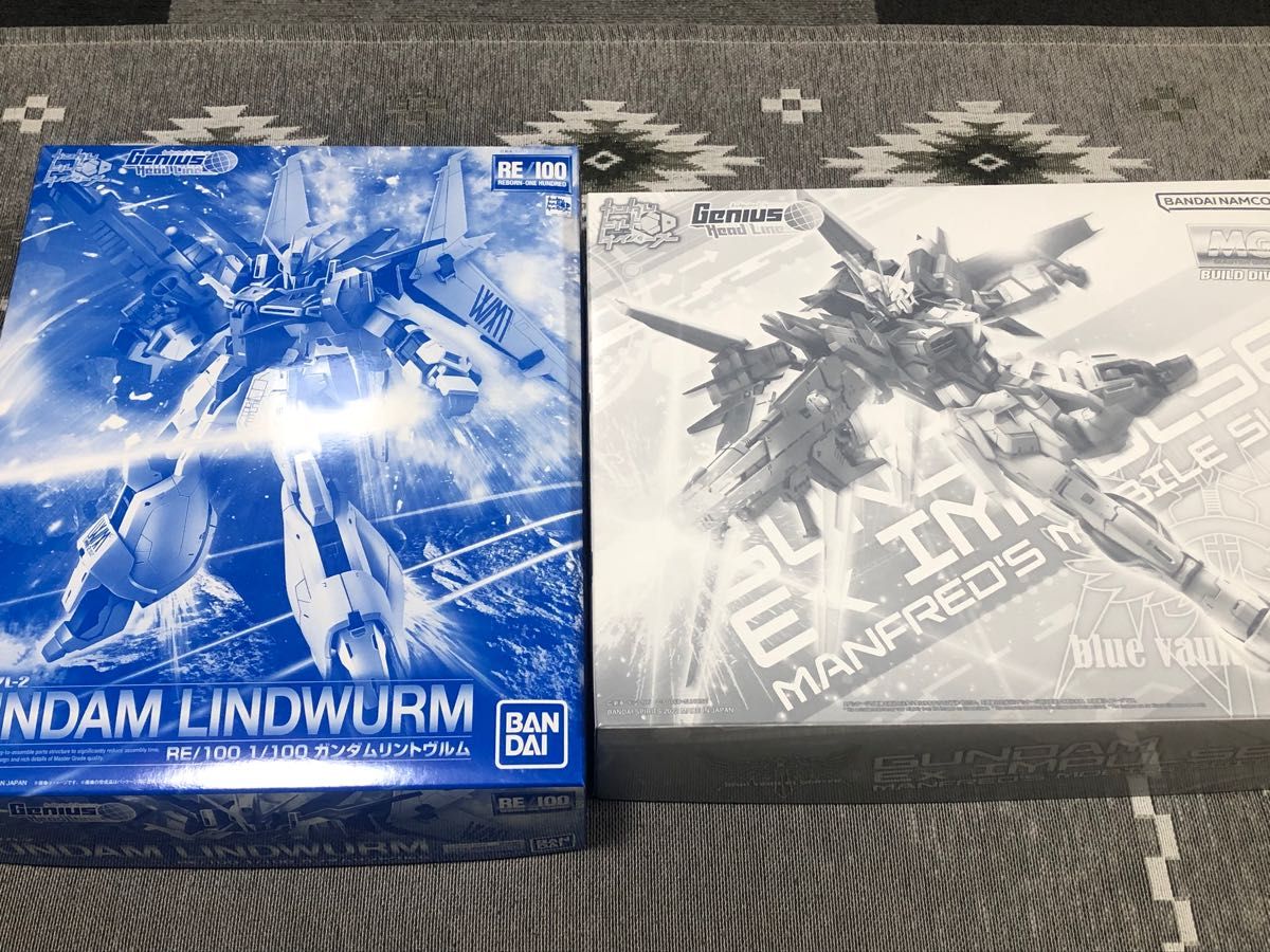 2点セット MG ガンダムエクスインパルス + RE/100 ガンダムリント