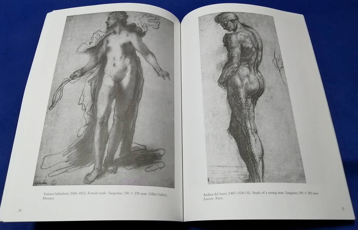 ●●　洋書　OLD MASTER LIFE DRAWINGS　44Plates　23R16s_画像3