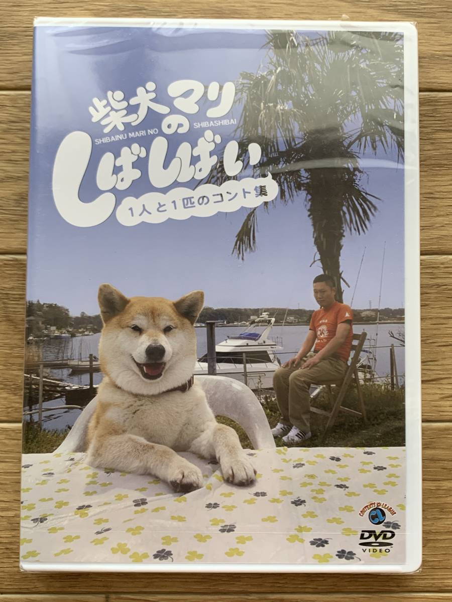 柴犬マリのしばしばい 1人と1匹のコント集　DVD　マリちゃん＆いのせさん　新品未使用/AA_画像1