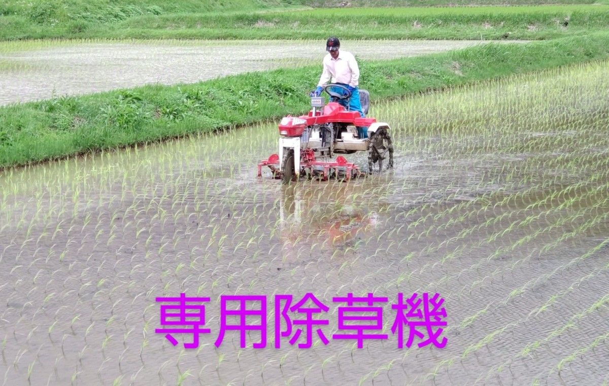 新米・MOA自然農法認証済・無施肥無農薬栽培米・玄米20kg・精米可