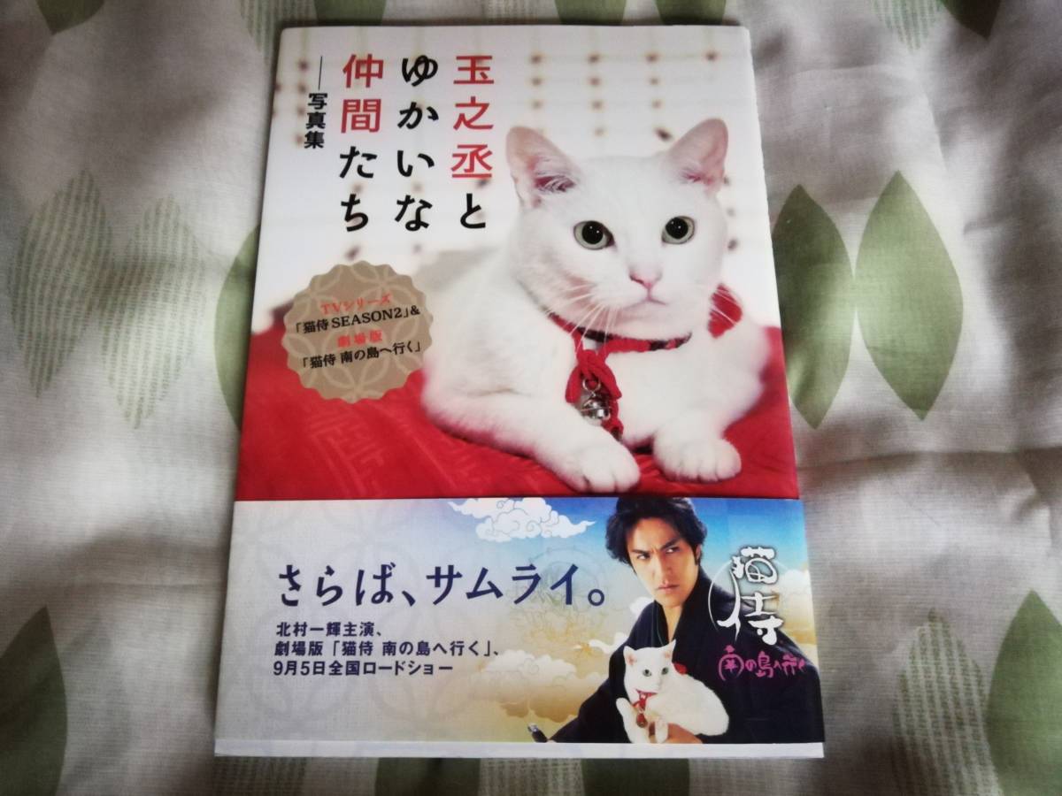  быстрое решение * кошка samurai шар ....... компания .. фотоальбом ... белый кошка север . один блестящий 
