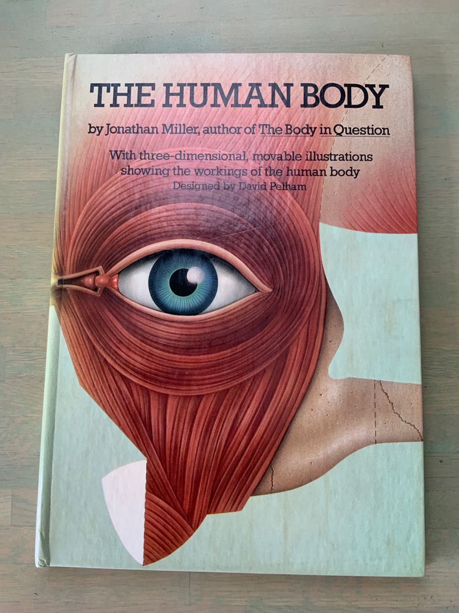 購入お買い得 ヴィンテージ飛び出す絵本 人間の体 The Human Body