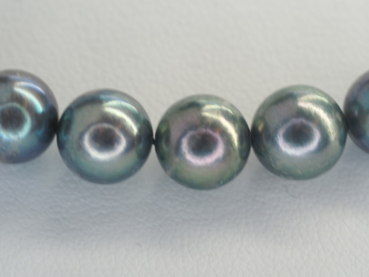 322 pearl festival! natural Akoya book@ pearl necklace 7.5mm~8.0mm. pearl is exclusive use box . inserting delivery does 