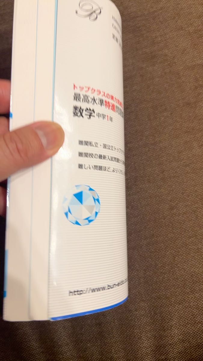 最高水準特進問題集 数学 中学1年
