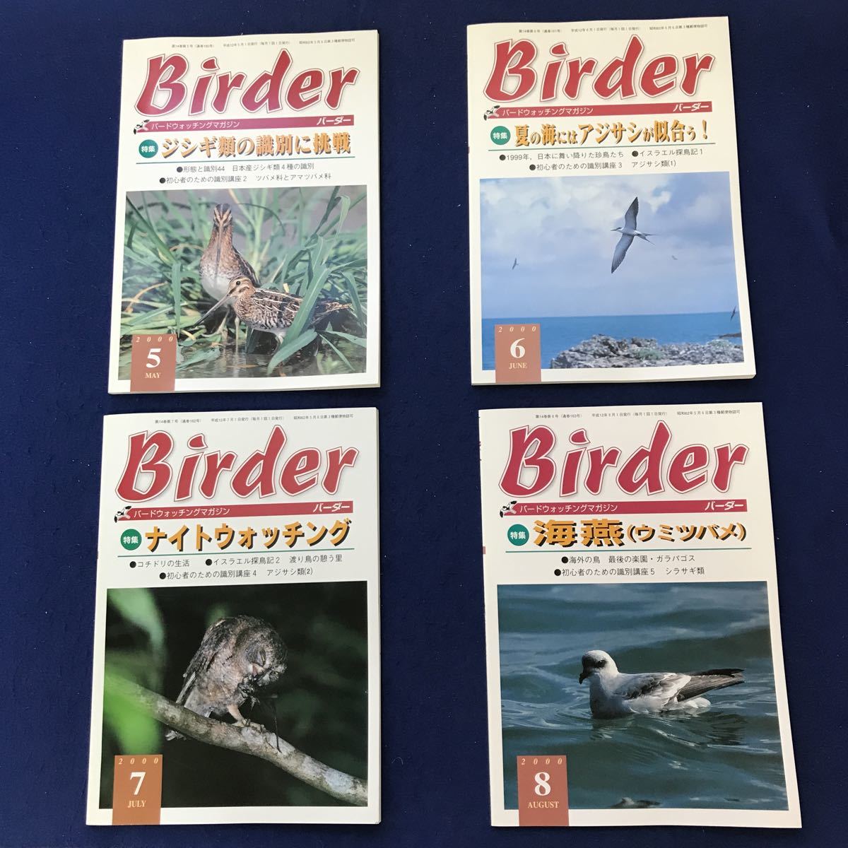 F55-009 【年間まとめ】バードウォッチング・マガジン バーダー BIRDER 2000年12冊 文一総合出版_画像4