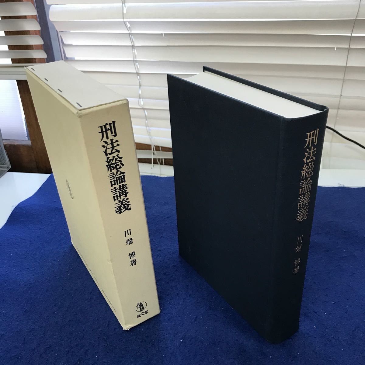 F58-029 刑法総論講義 川端博著 成文堂 外箱に潰れあり_画像1