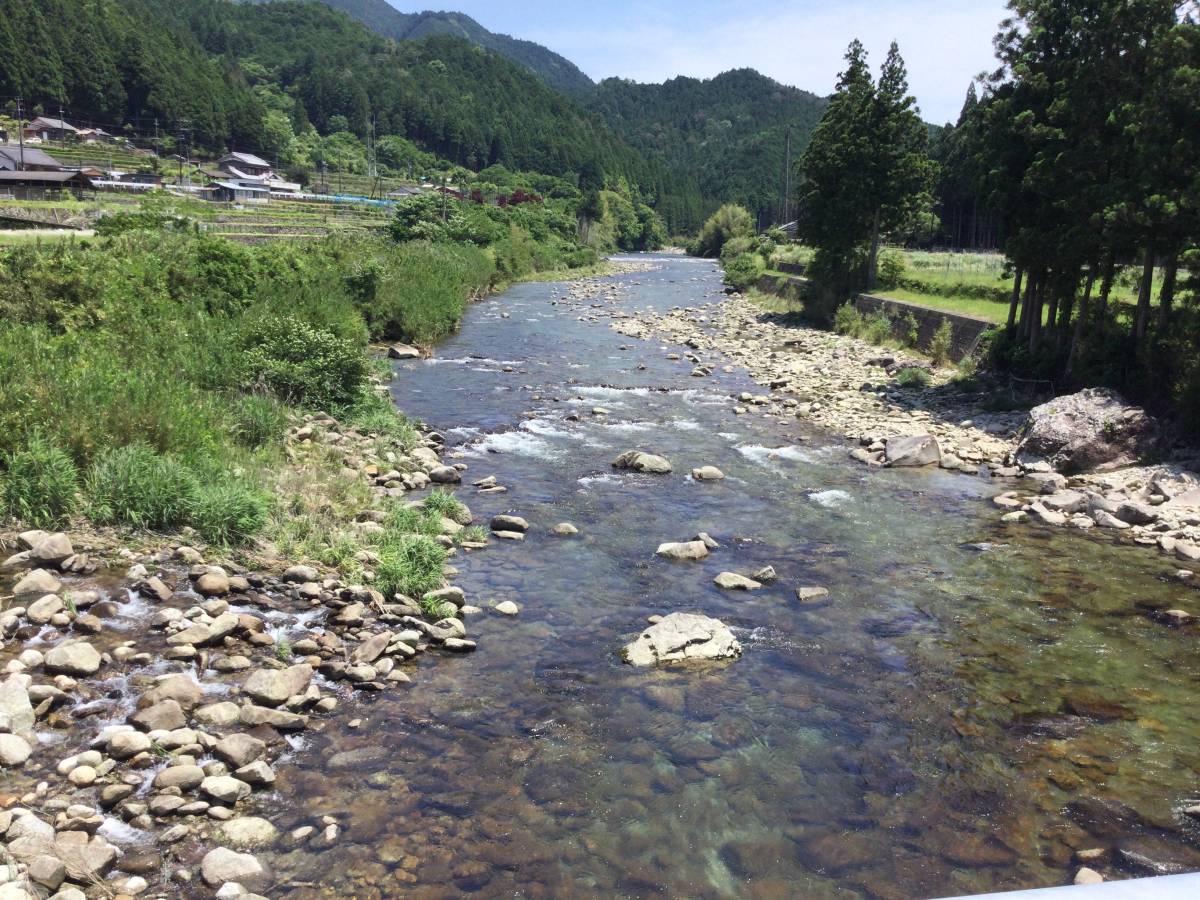 ☆　汚れ気味ですので、少し安く！精鋭シリーズ！(カツイチ) 　ザ・室田　早がけ先取り型　8号　ギザ耳　48本入　税込定価550円_画像7