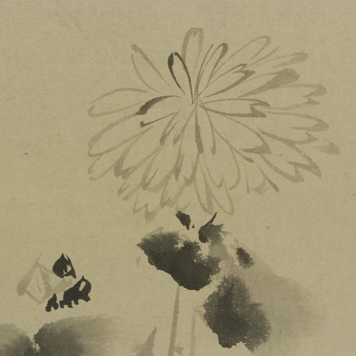 美品【真作】狩野探幽【水墨菊図】◇紙本◇合箱◇掛軸 t04098-