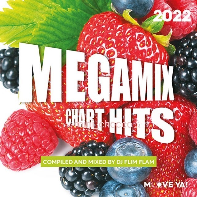 【美品】☆フィットネス CD MEGAMIX CHART HITS 2022 ☆送料230円☆51曲 エアロビクス ダンス アクア スポーツ ☆定価3730円(税込) 人気_画像1