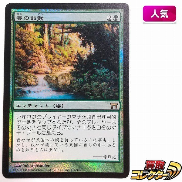 sB324o [人気] MTG Foil 春の鼓動 Heartbeat of Spring 神河物語 CHK 緑 R レア 日本語版_画像1