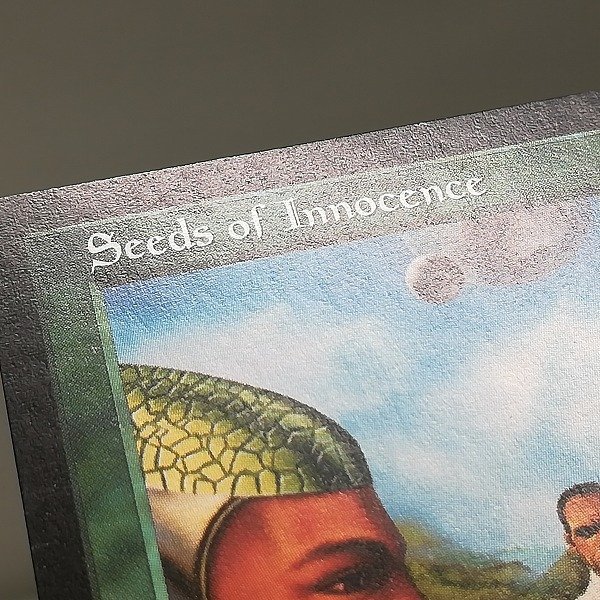 sB322o [人気] MTG 無垢への回帰 Seeds of Innocence ミラージュ MIR 緑 R レア 英語版 日本語版 計2枚_画像7