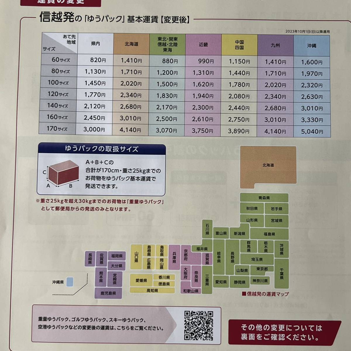 フェロカクタス 実生 刈穂玉 サボテン多肉植物_画像8