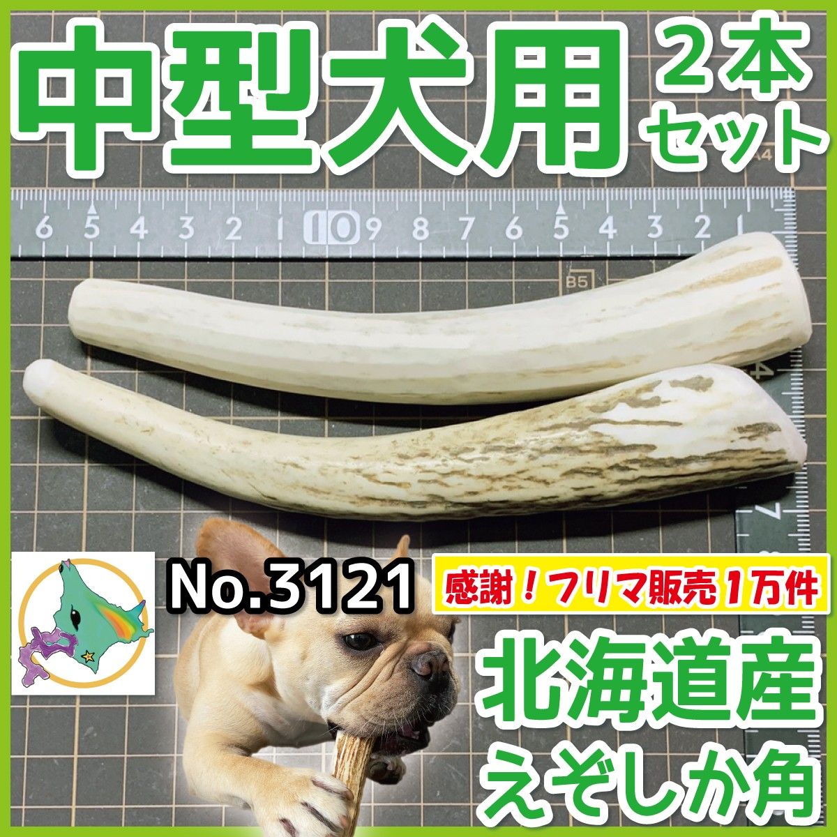 中型犬用 エゾ鹿の角 2本セット 北海道産 蝦夷鹿 犬のおもちゃ 31211