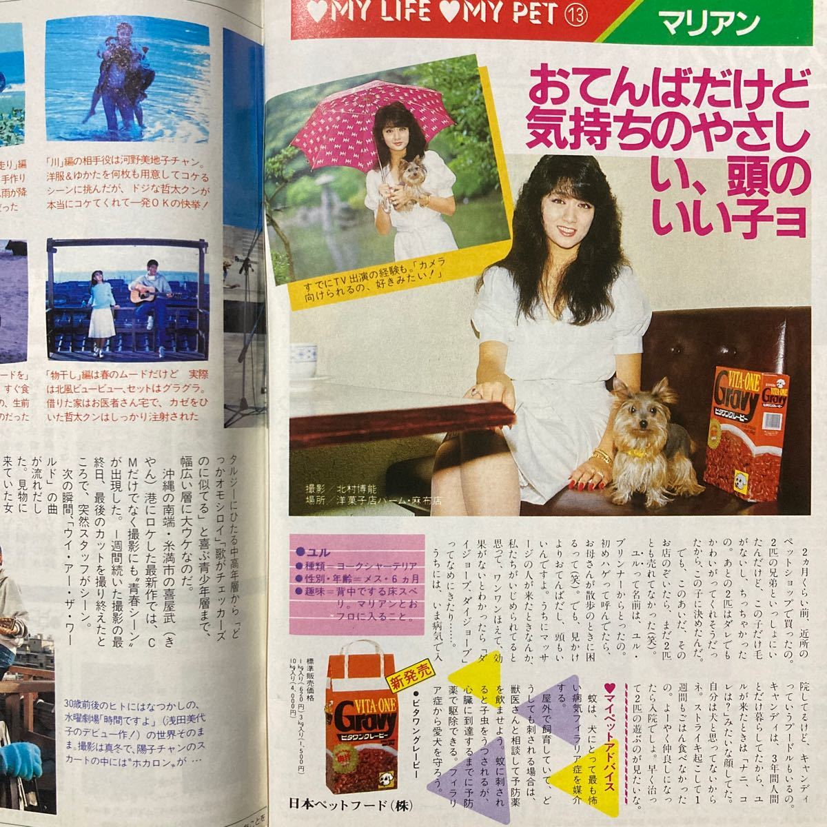 週刊TVガイド 1985年6月28日号 松田聖子 明石家さんま　西川きよし_画像9