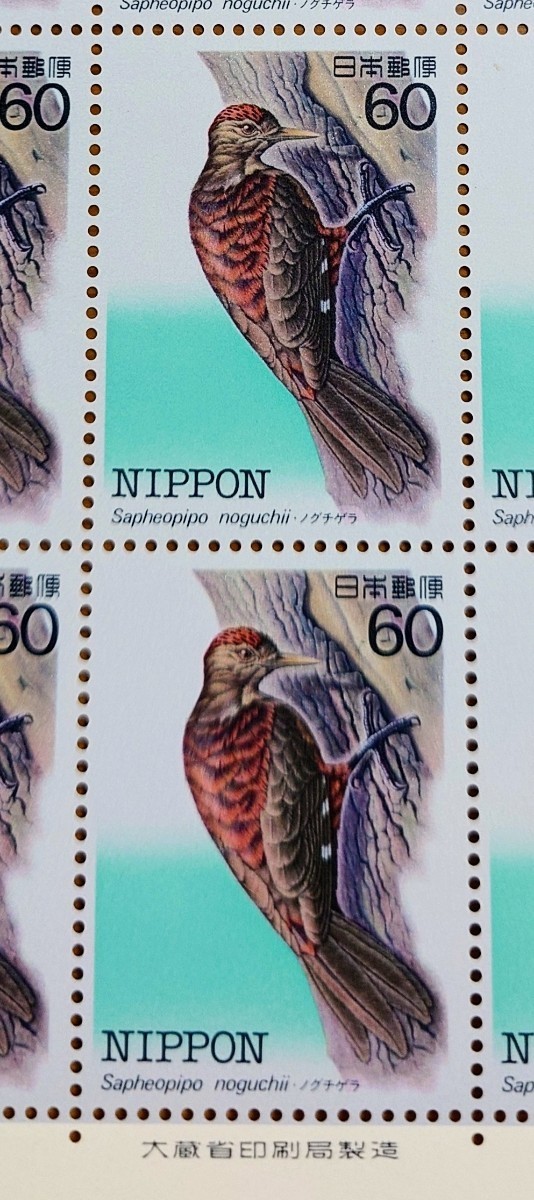 【未使用品】特殊鳥類シリーズ第２集「ノグチゲラ」1983年発行　記念切手シート　コレクション　60円×20枚_画像3