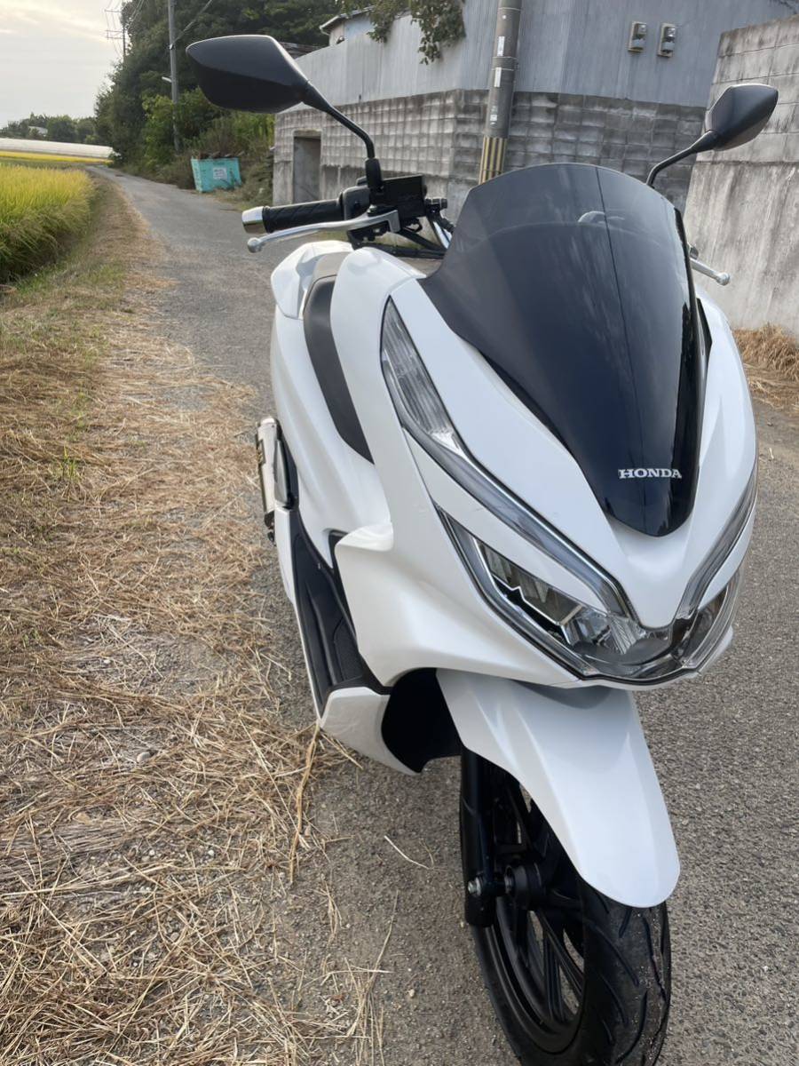 PCX125 JF81 程度良好 各所メンテナンス済み スマートキー 自賠責付き 全国配送の画像7