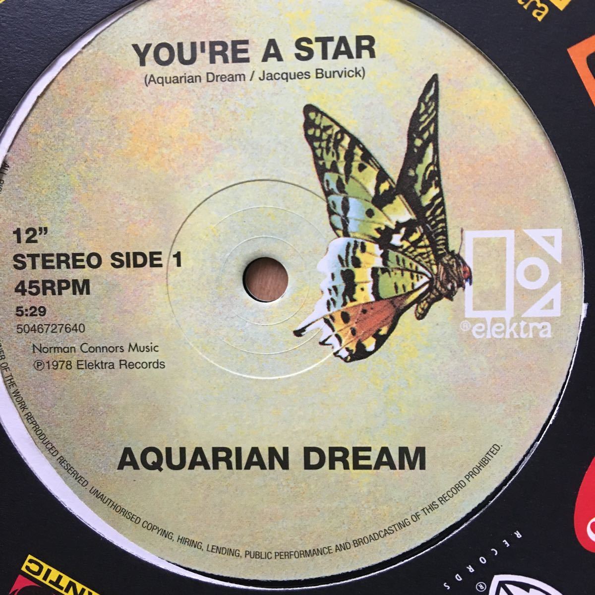 12’ Aquarian Dream-You’re A Star/Do you realize_画像2