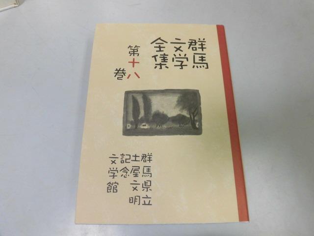 ●P314●清水寥人浅田晃彦小瀧和子萩原博志澤隆吉松山達枝森田素夫●群馬文学全集●18●群馬県立土屋文明記念文学館●即決_画像1