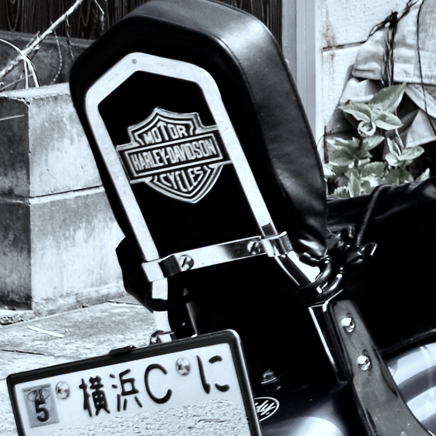 AMF ハーレー純正 シルバーエンブレム /メダリオン MADE IN AMF ハーレー純正 シルバーエンブレム /メダリオン MADE IN