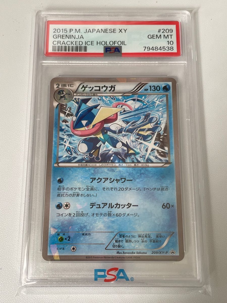 メール便不可】 PSA10 ゲッコウガ PROMO 209/XY-P プロモ ポケモン