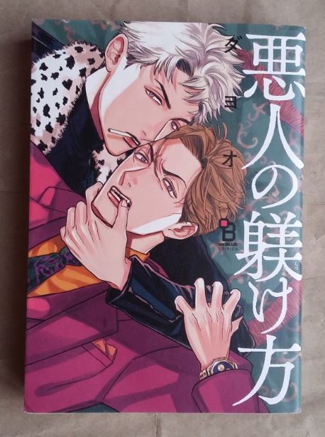 ダヨオ 悪人の躾け方 １巻完結 BL ★ 即決 中古本 LVDBL_画像1