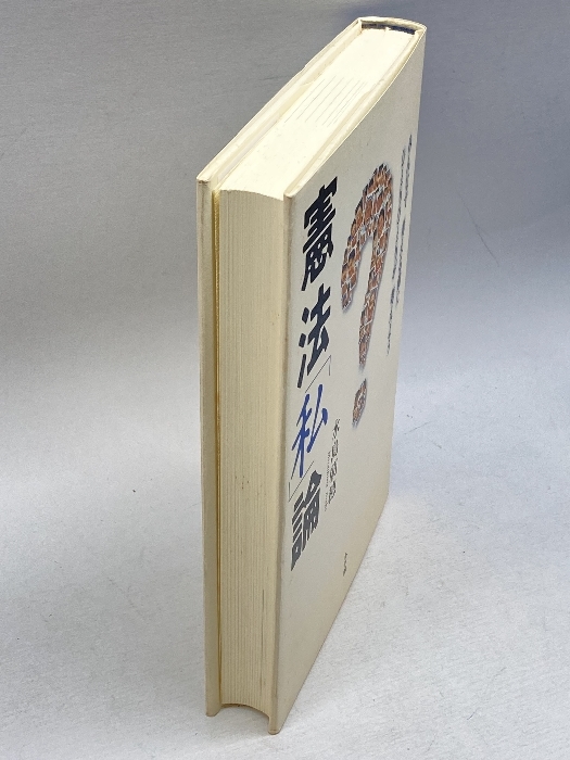 憲法「私」論―みんなで考える前にひとりひとりが考えよう 小学館 水島 朝穂_画像4