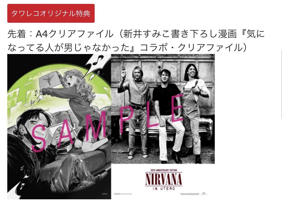 ニルヴァーナ NIRVANA インユーテロ IN UTERO 30周年記念デラックス・エディション ［2SHM-CD+ブックレット］＜通常盤＞_画像3