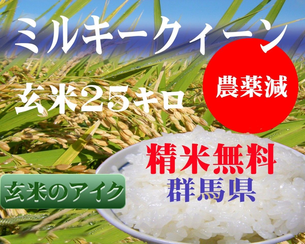 5年産もち米玄米 25キロ 減農薬-