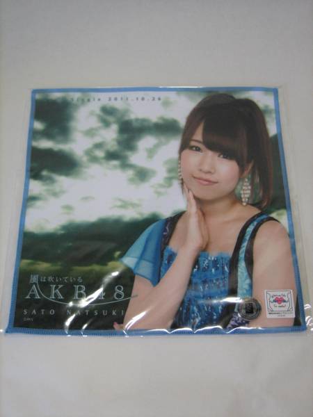 新品　AKB48 　風は吹いている　 推しタオル　チームB　佐藤夏希_画像1