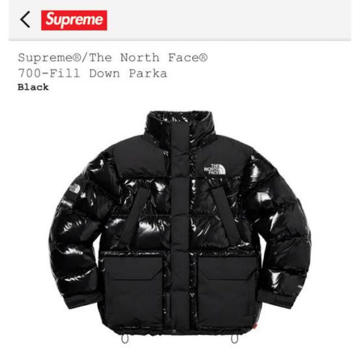 Supreme The North Face 700-Fill Down Parka Black Supreme The North Face 700-Fill Down Parka Black