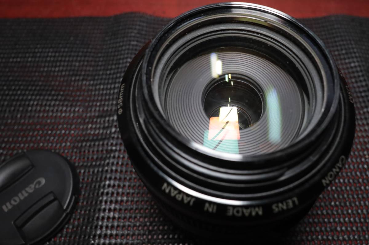 Canon EF 70-300ｍｍ f4.5-5.6 DO IS USM 中古品　社外フード＋プロテクトフィルターおまけ　_画像5