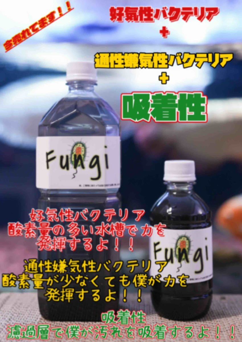珍しい 最強バクテリア4種セット バクテリア - ecocal.com.pe