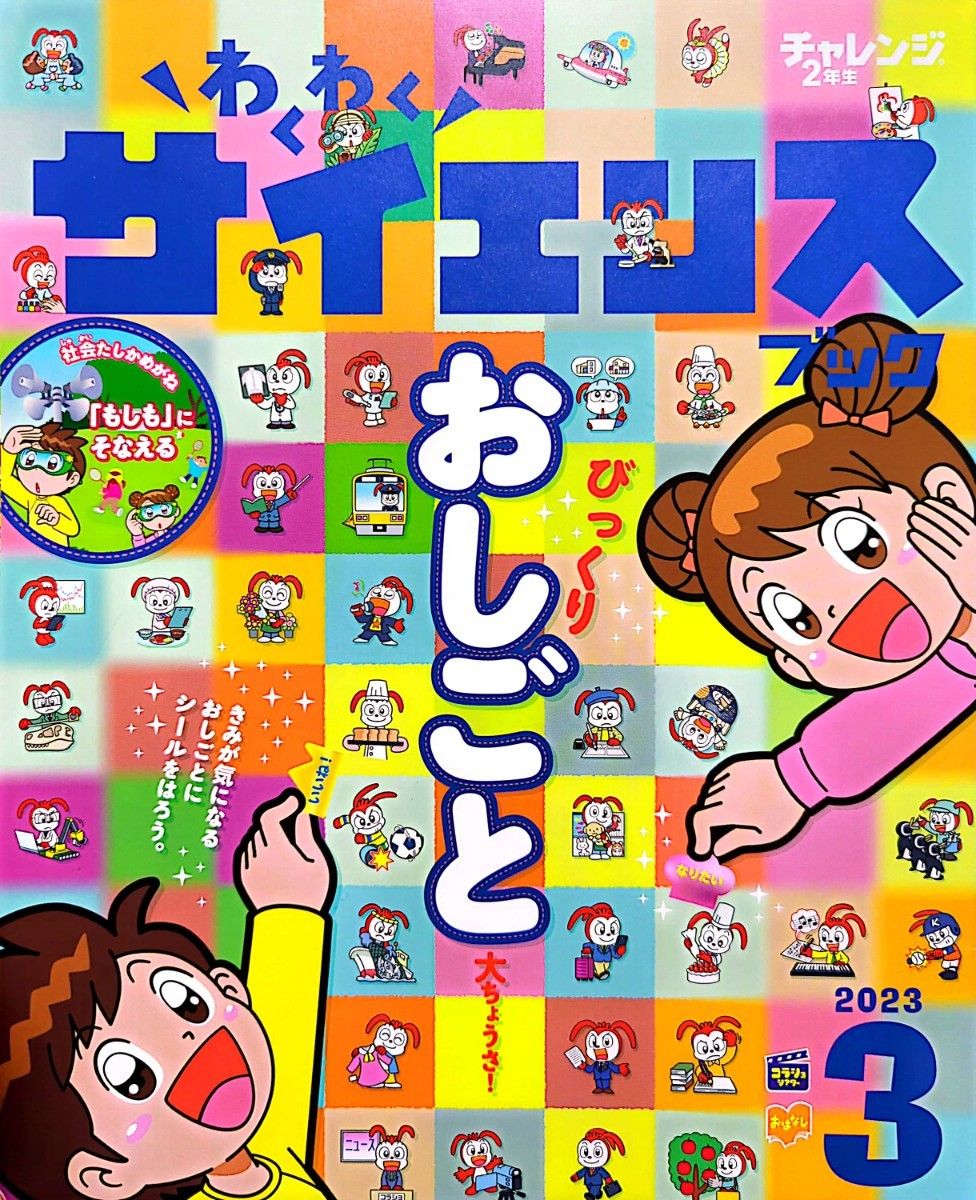 【進研ゼミ　小学講座】　　　　　　　　　チャレンジ小学2年生　問題集など。