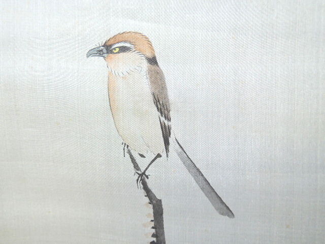 JY248◇◇メクリ 竹嶺 柿に百舌鳥◇◇-