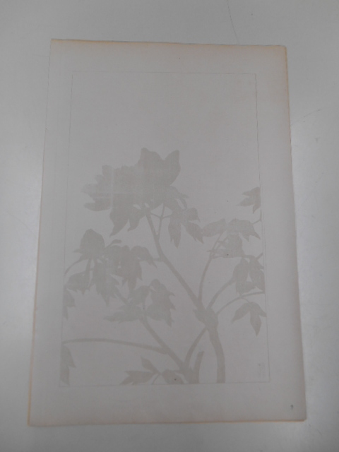 非水百花譜 牡丹 杉浦非水 彩色刷木版 版画 附図 2枚セット 1920年代 