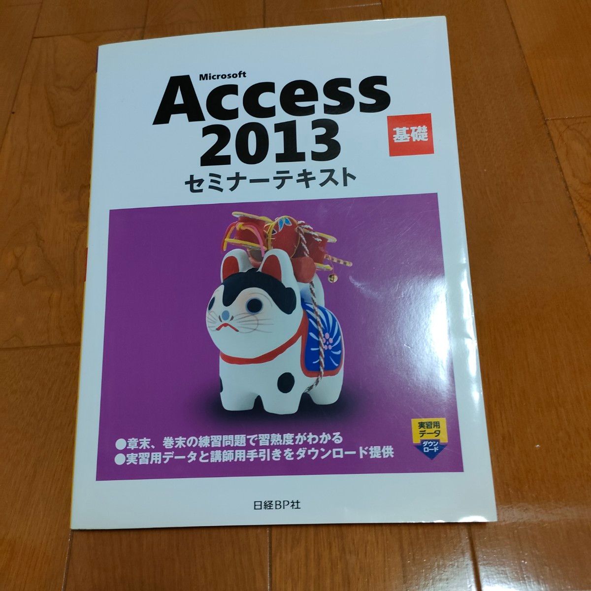 Ｍｉｃｒｏｓｏｆｔ　Ａｃｃｅｓｓ　２０１３　基礎 （セミナーテキスト） 日経ＢＰ社／著・制作