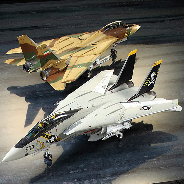 美品 傑作機シリーズ 1/48 プラモデル トムキャット F-14A グラマン No