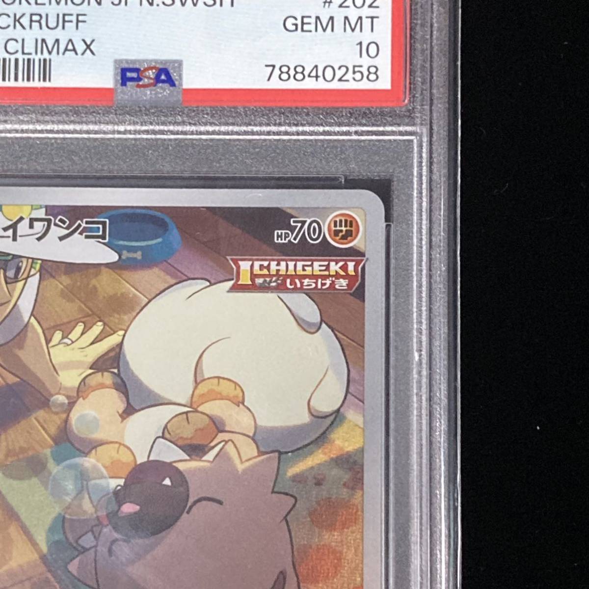 PSA 10 ポケモンカード VMAXクライマックス CHR イワンコ VMAX PSA 10 ポケモンカード VMAXクライマックス CHR イワンコ VMAX