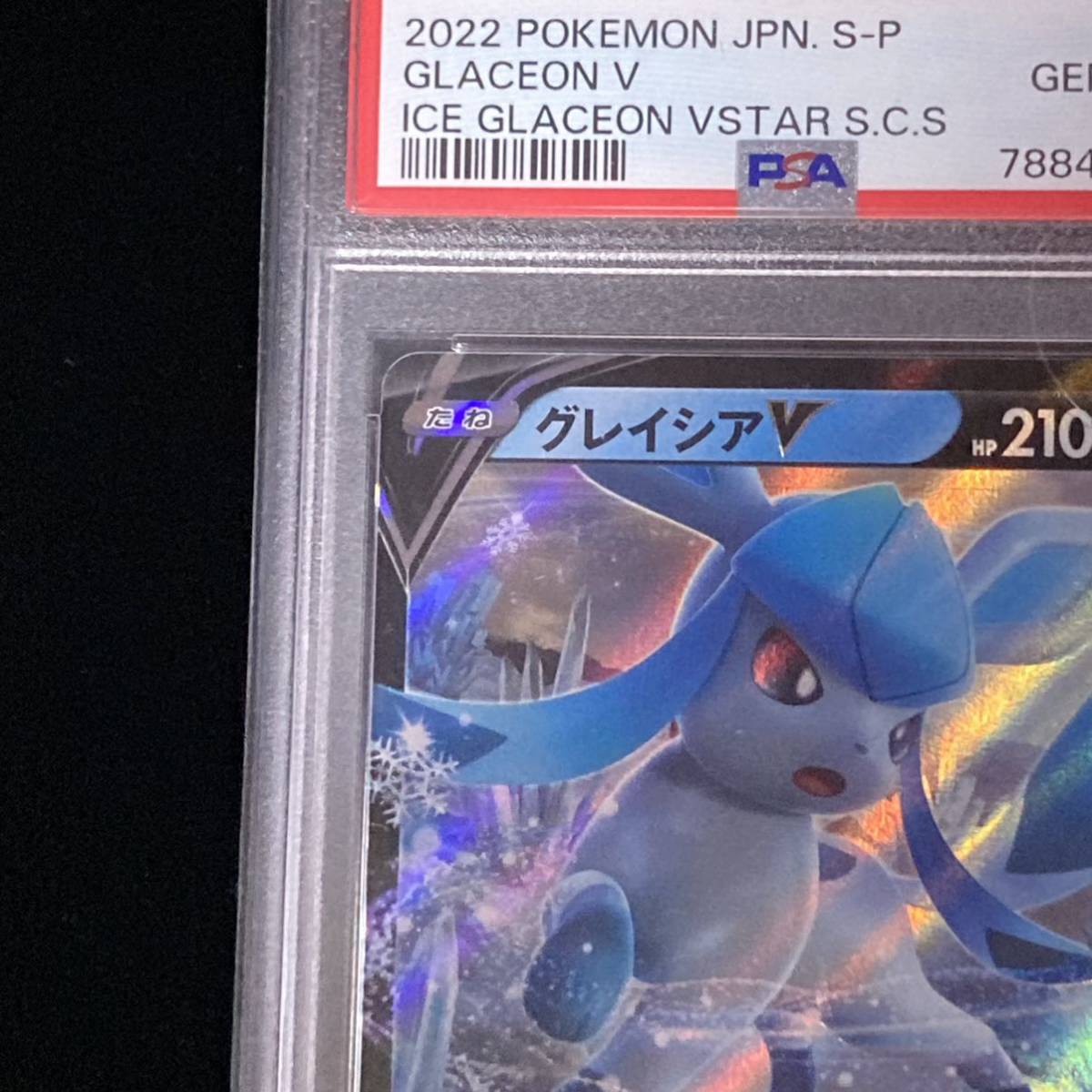 PSA10 ポケモンカード プロモーションカード PROMO グレイシアV PSA10 ポケモンカード プロモーションカード PROMO グレイシアV