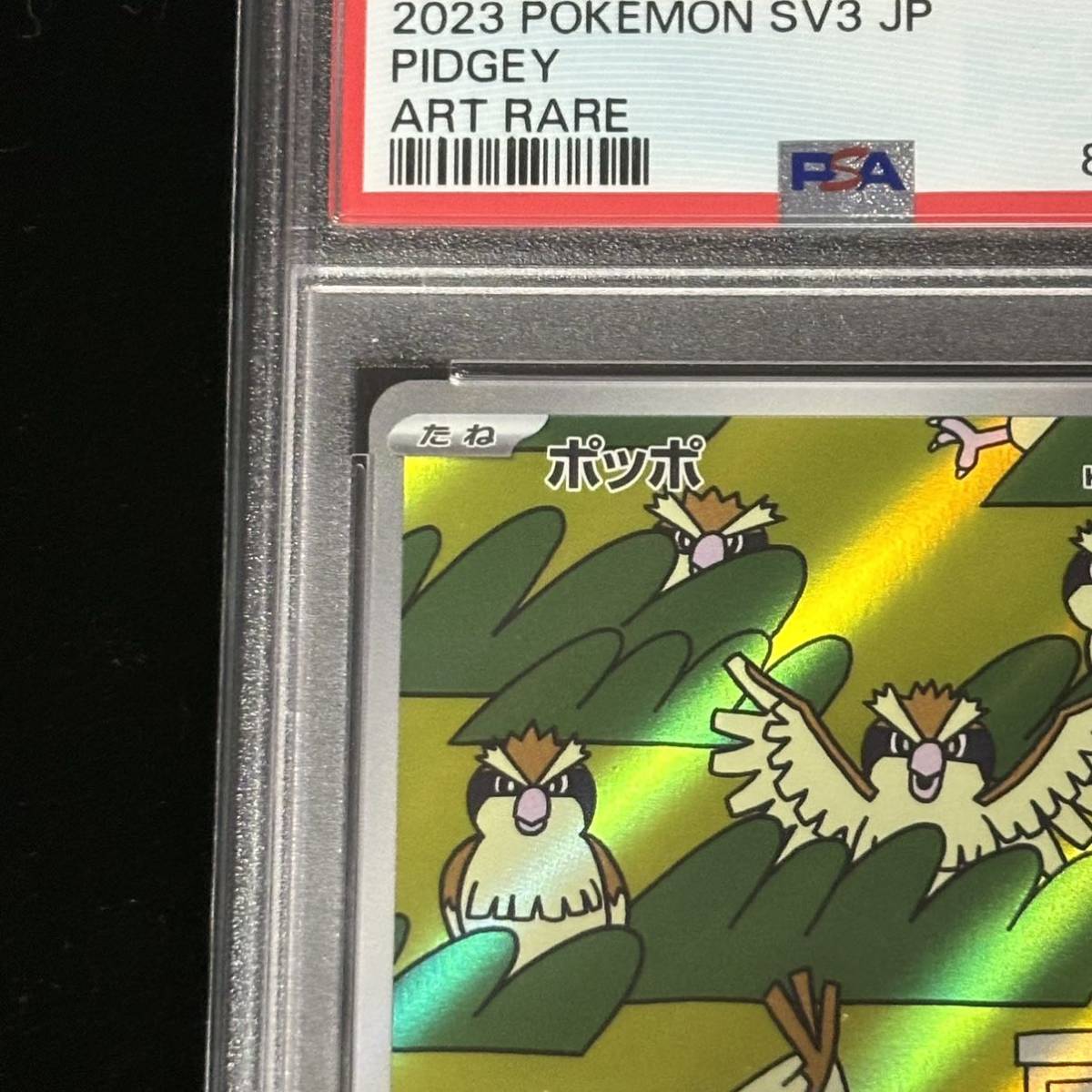 PSA 10 ポケモンカード 黒炎の支配者 AR ポッポ 鑑定品 RULER OF PSA 10 ポケモンカード 黒炎の支配者 AR ポッポ 鑑定品 RULER OF