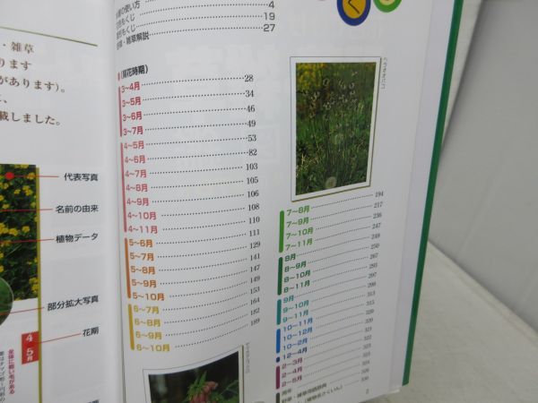 G6■花色でひける 野草・雑草 観察図鑑 野に咲く四季の草花 478種 【著】高橋良孝【発行】成美堂出版 2005年 ◆並■の画像6