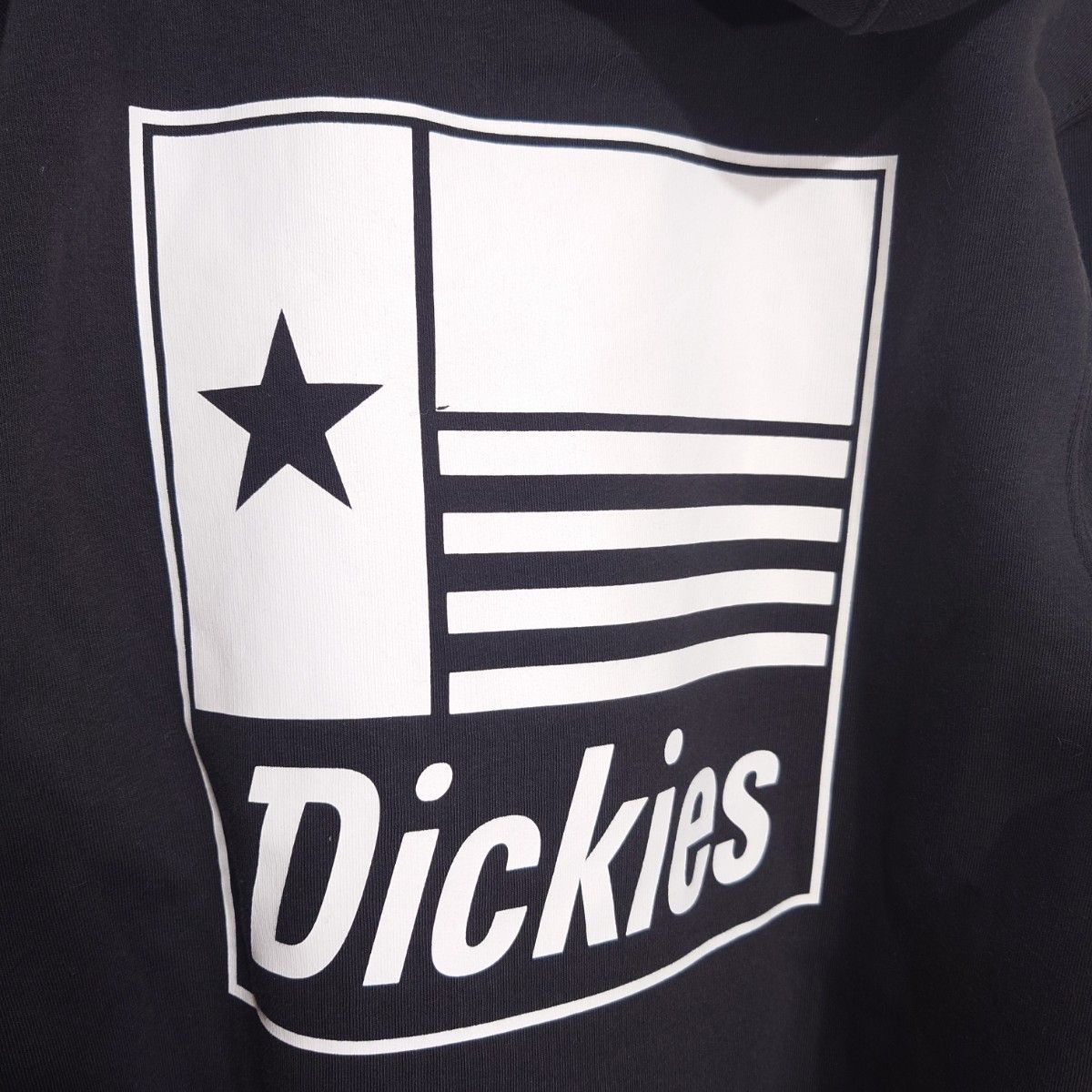 新品未使用　日本未発売　Dickies　ディッキーズ  パーカーTAYLOR HOODIE - Sweatshirt