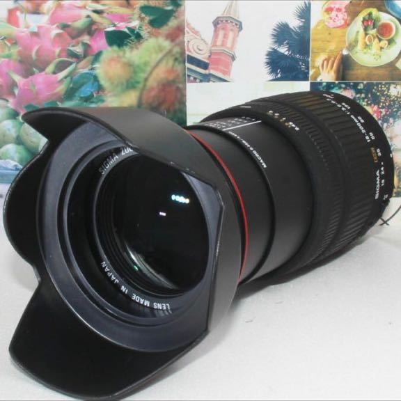 最新作 希少品これ1本で近遠対応シグマ 18-200mm Canon用 キヤノン