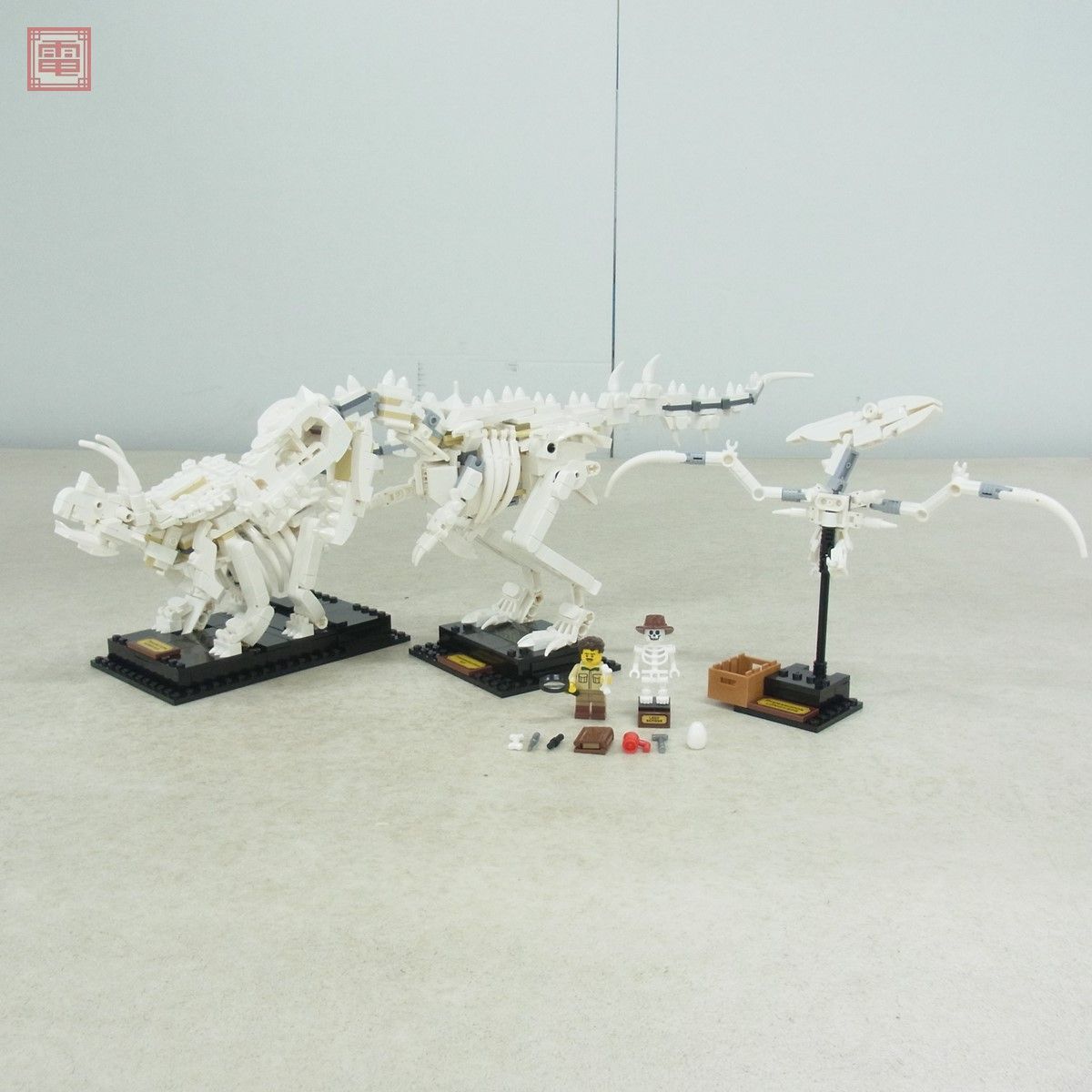 組立済 レゴ アイデア 21320 恐竜の化石 LEGO IDEAS 現状品【20(LEGO