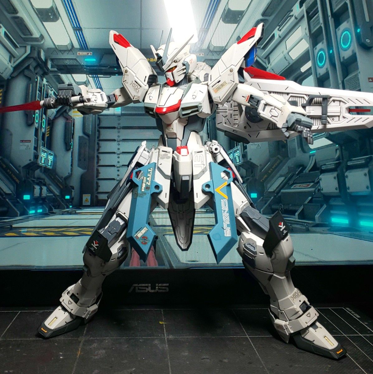 MG FREEDOM GUNDAM ZGMF-X10Aフリーダムガンダム Ver.2.0 完成品