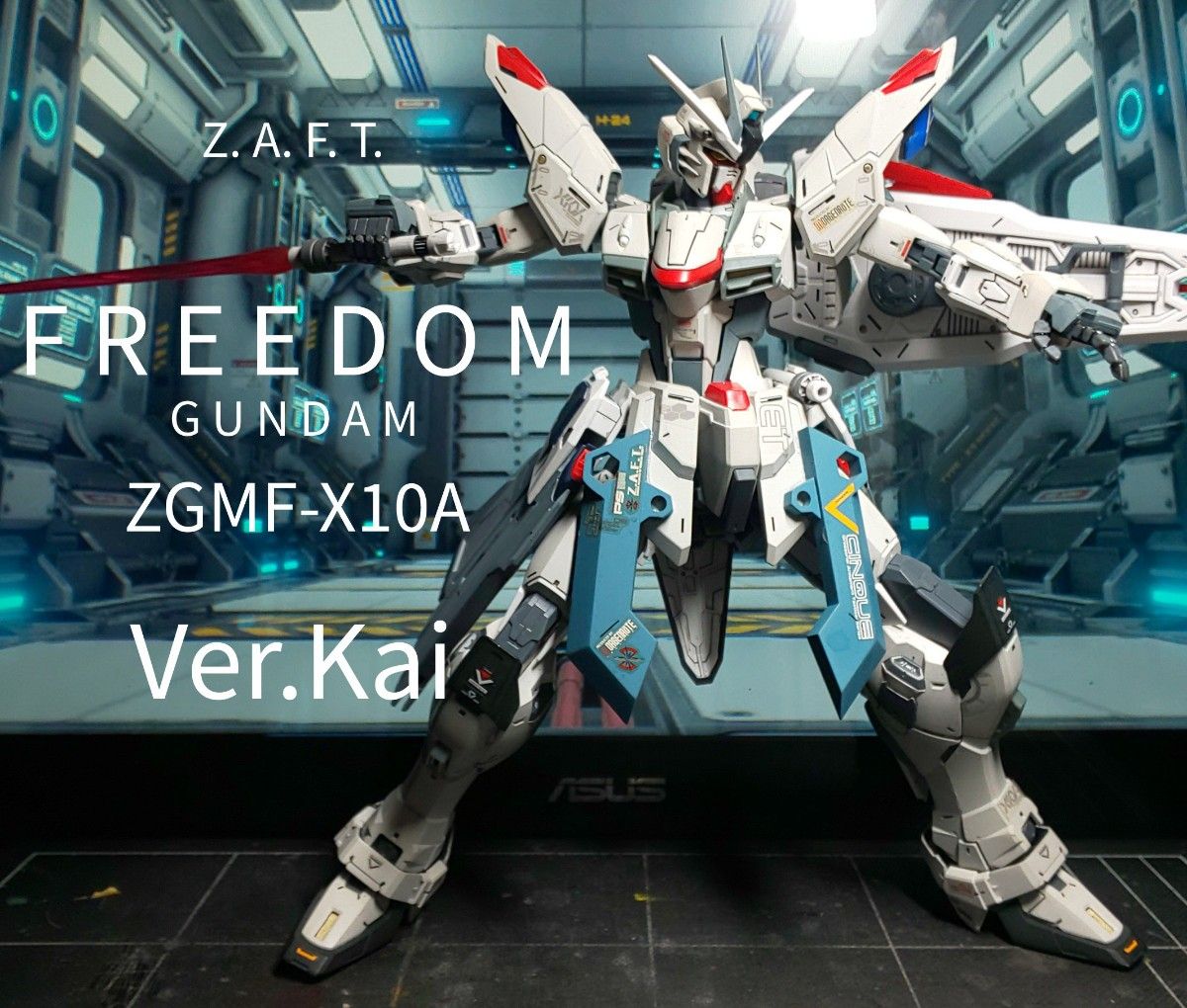 MG FREEDOM GUNDAM ZGMF-X10Aフリーダムガンダム Ver.2.0 完成品