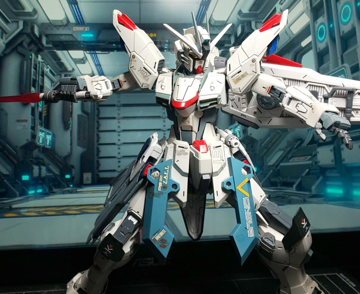 MG FREEDOM GUNDAM ZGMF-X10Aフリーダムガンダム Ver.2.0 完成品